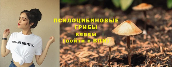 крисы Алексин