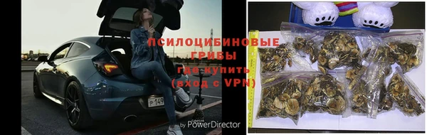 крисы Алексин