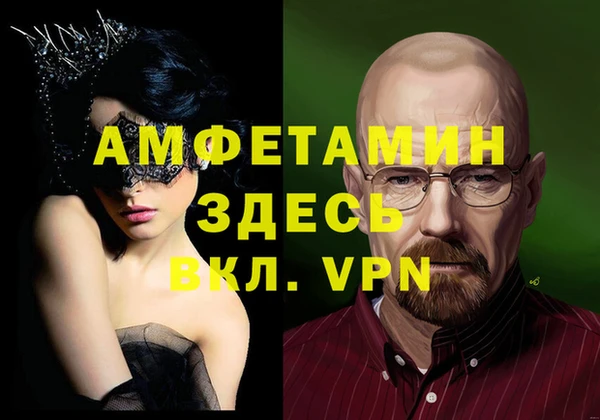 крисы Алексин