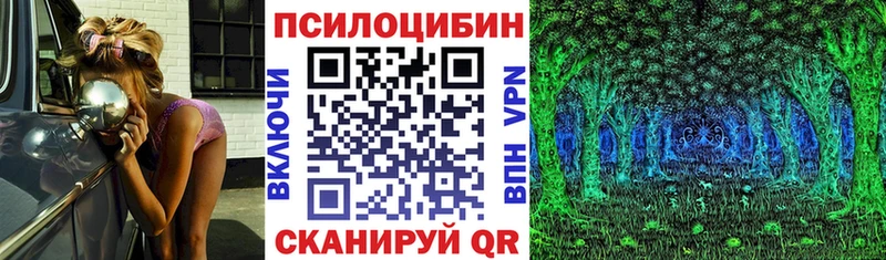 блэк спрут зеркало  Сарапул  Псилоцибиновые грибы GOLDEN TEACHER 